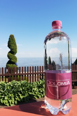 Dolomia PET ELEGANT vanduo 500 ml.