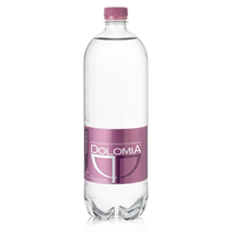 Dolomia PET ELEGANT vanduo 1000 ml.